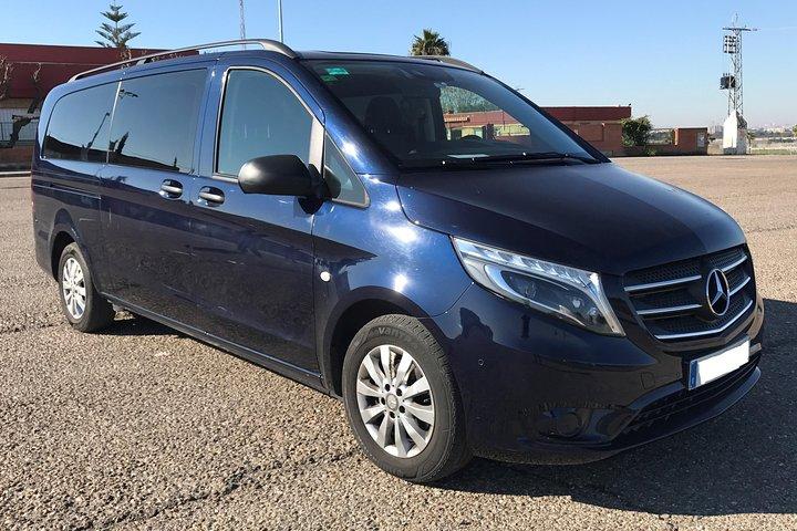 Retourvervoer per minibus van Sevilla naar Granada