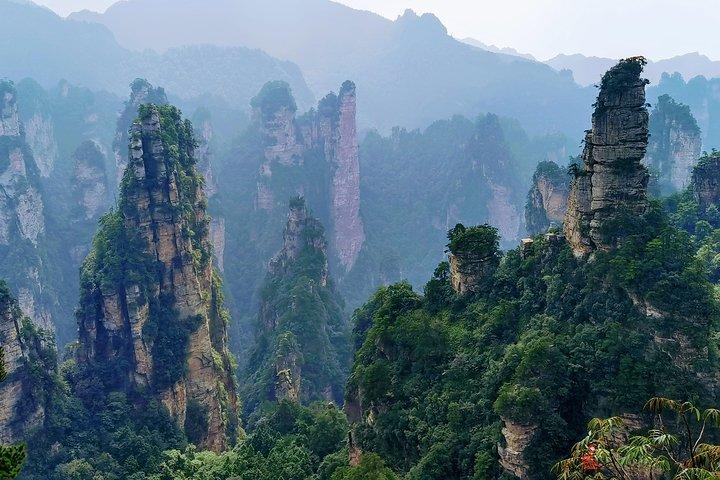 Private Tagestour: Entdecken Sie den Zhangjiajie National Forest Park-Avatar Mountain