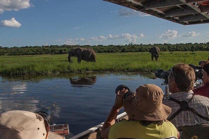 Experiência de dia inteiro em Chobe