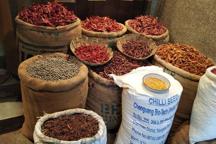 Campionamento di cibo di strada di Old e New Delhi