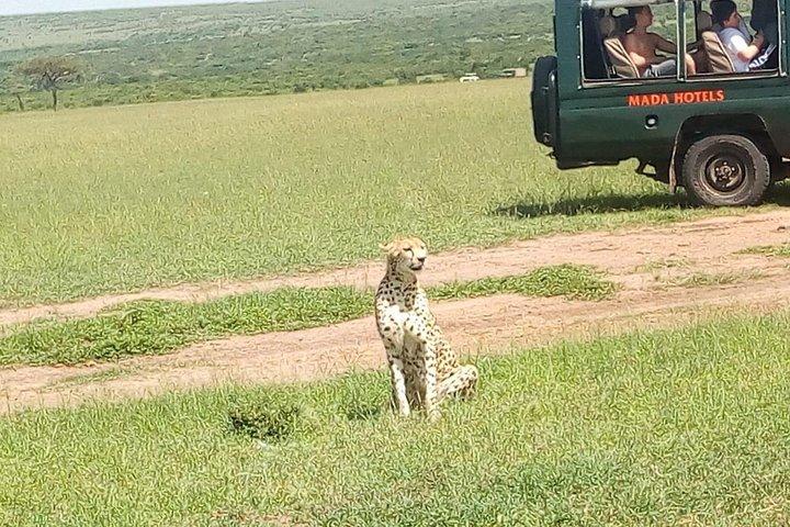 Lake Nakuru National Park Express Day Trip