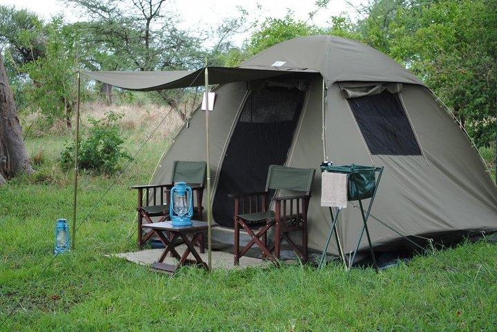 4 dagars Tanzania Safari