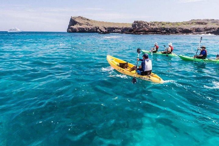 8 - dagars Galapagos Island Hopping Adventure Expedition
