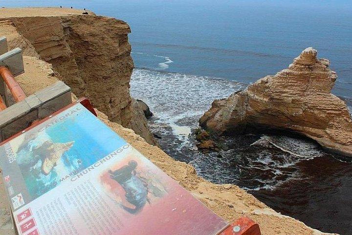 パラカス国立保護区への小旅行