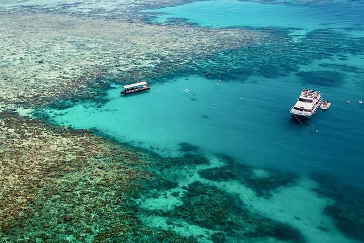 Ocean Freedom Great Barrier Reef Luxury Snorkel and Dive Cruise