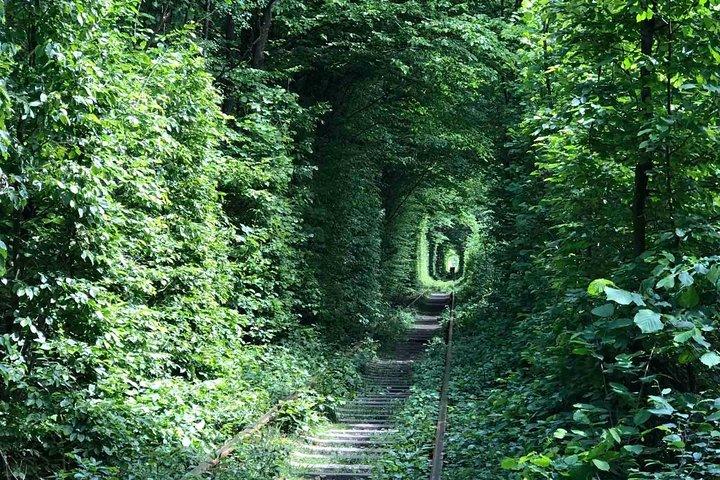 Tunnel der Liebe Hin- und Rücktransfer von Kiew mit dem Privatfahrzeug