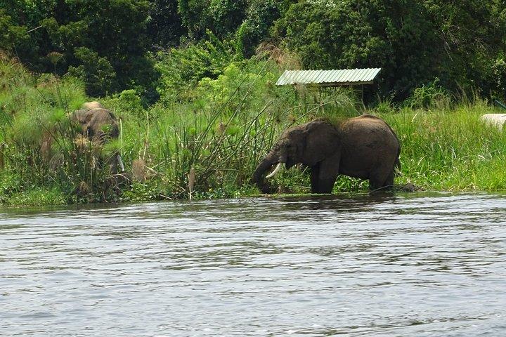 To dage Lake Mburo Tour i Uganda