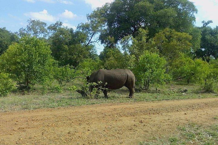 Musiotunya国立公園を散歩するRhino&Nature
