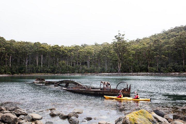Tasman Peninsula heldags kajak tur