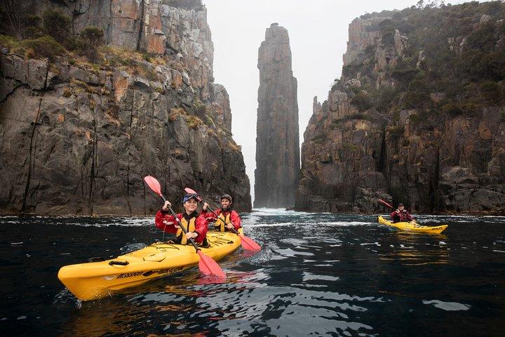 Tasman Peninsula heldags kajak tur
