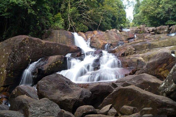 Trekking e birdwatching nella foresta pluviale di Kanneliya
