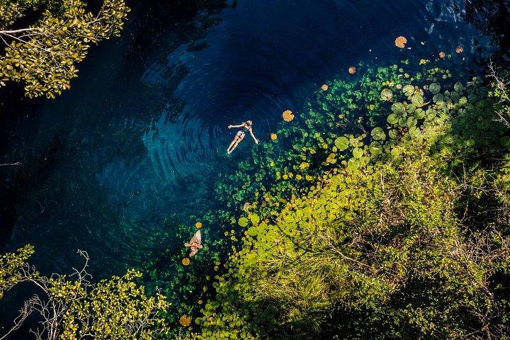 Xenotes Aventura desde Riviera Maya
