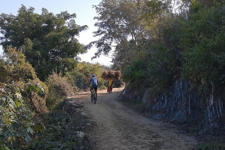 Excursão de bicicleta matinal em Udaipur