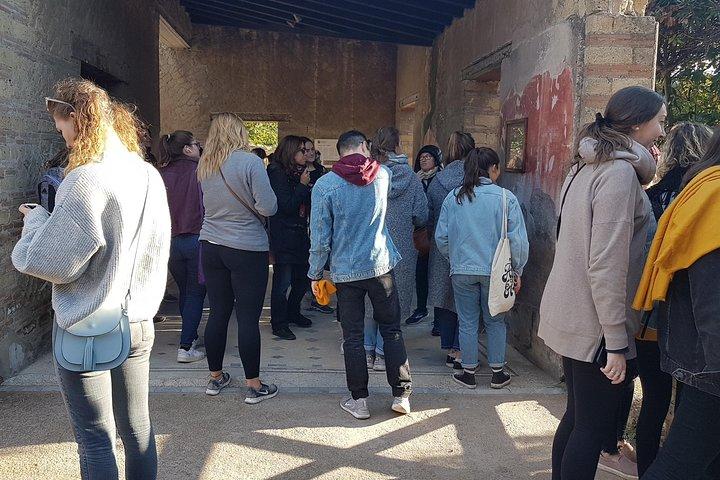 Herculaneum Guided Walking Tour – acesso prioritário