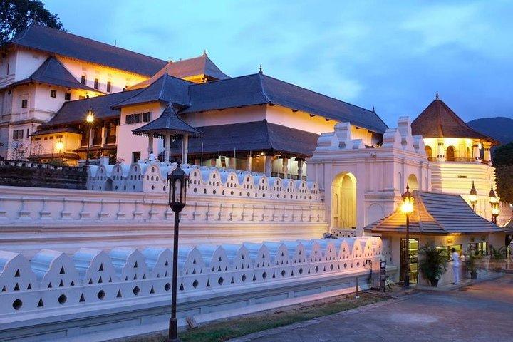 3 dages tur til Kandy Nuwara Eliya & Sigiriya fra Colombo