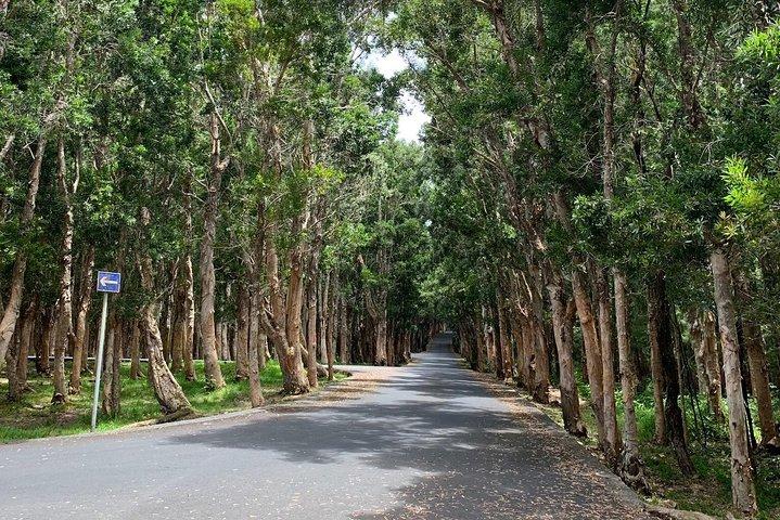 Private Full Day South West Tours av Mauritius
