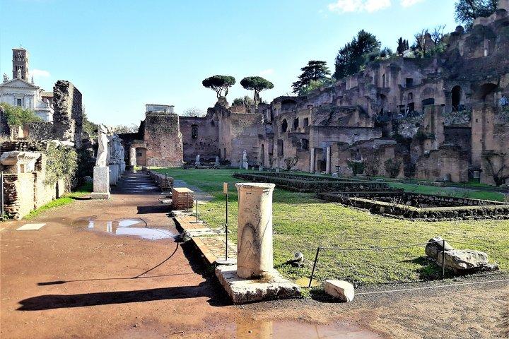 Rom i en dag privat kombination: Colosseum, Vatikanen & Lunch ingår
