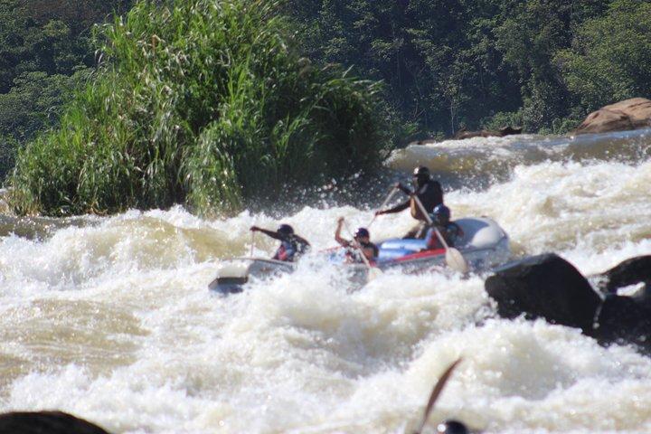 5-dages gorillaer og rafting i Uganda Safari Adventure