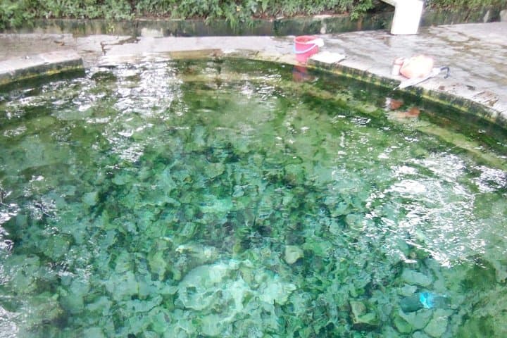 Hot Spring and Waterfall Day Tour