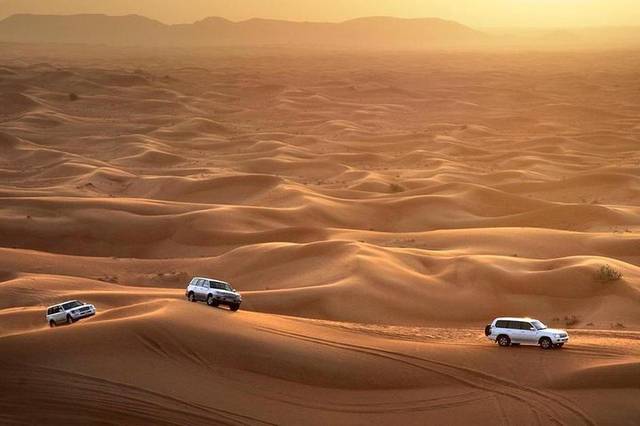 Desert Safari