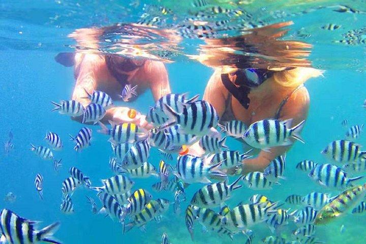 Pacchetto Tour 3D / 2N (ostello) Backpacker Lombok