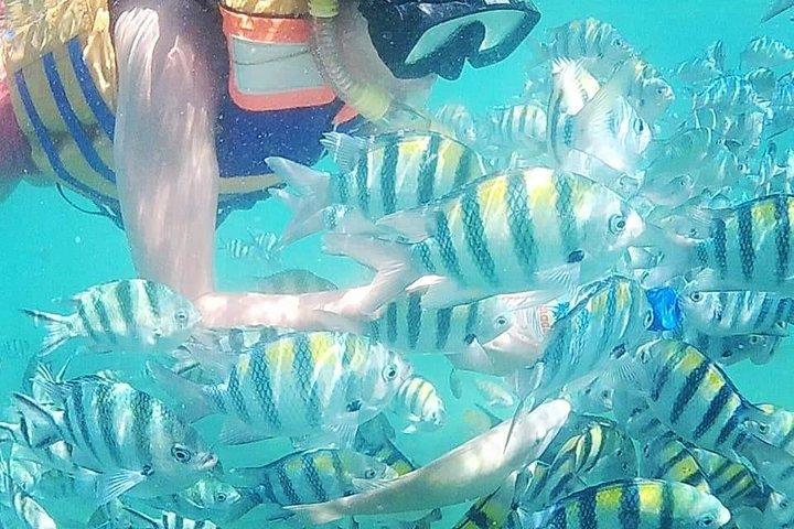 Pacote turístico 4D / 3N (Hotel) Lombok