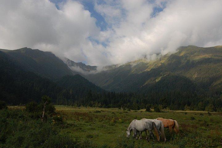 Dhorpatan Private Guided Trek