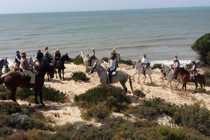 Paardrijroute door Doñana en bezoek aan El Rocio