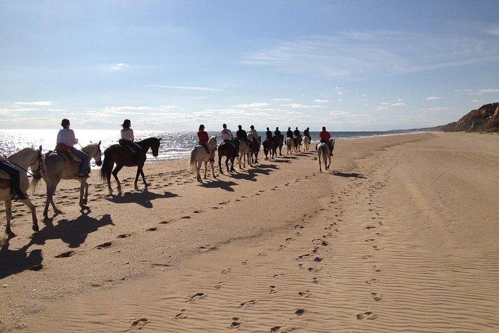Paardrijroute door Doñana en bezoek aan El Rocio