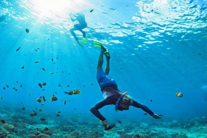 Geweldige snorkeltour van een hele dag naar Cozumel Cielo Starfish Reef