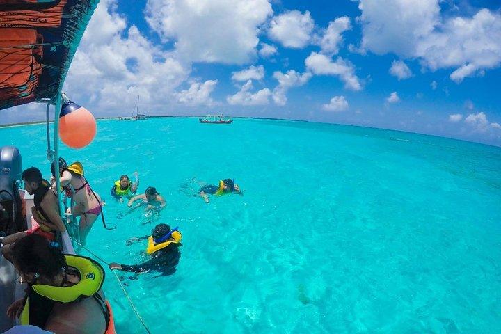 Geweldige snorkeltour van een hele dag naar Cozumel Cielo Starfish Reef