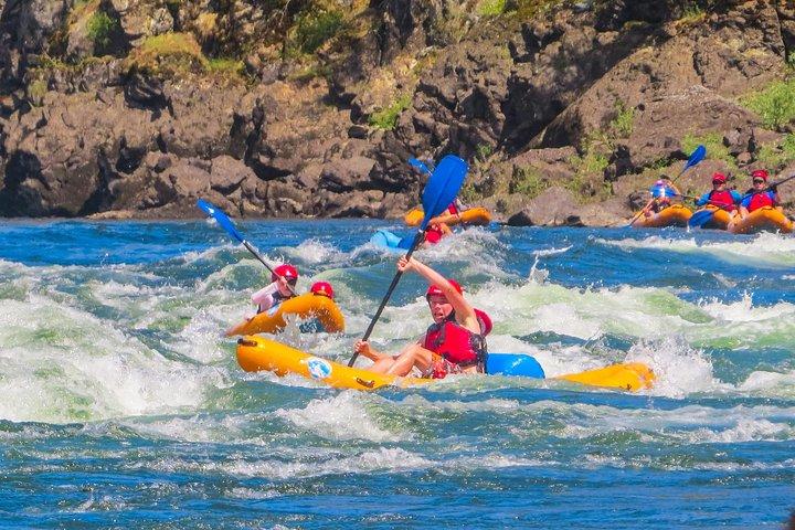 Riggins Idaho 1-daagse Raftingtrip op de zalmrivier