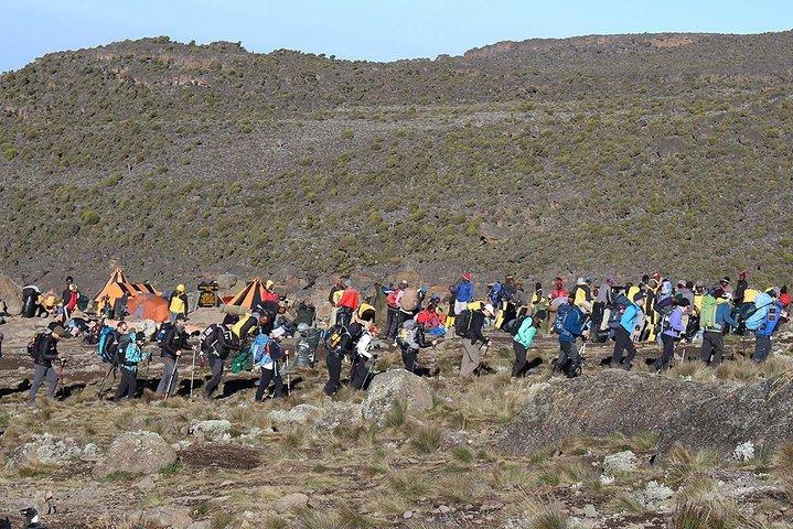 5 dagar Mount Kilimanjaro Climb - Marangu Route
