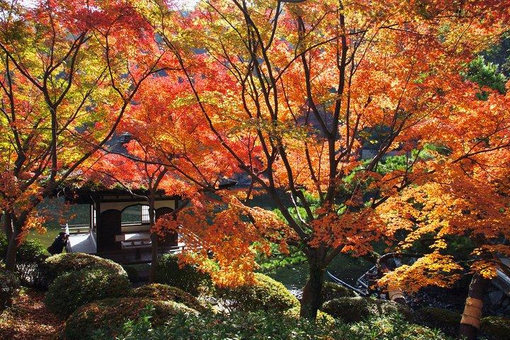 Das Beste von Wakayama City Private Tour