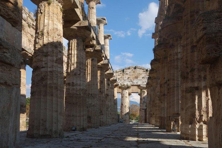 Paestum privado: templos y museo arqueológico con su arqueólogo local