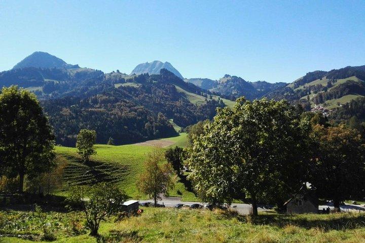 Visite privée de gruyères avec fromage et chocolat