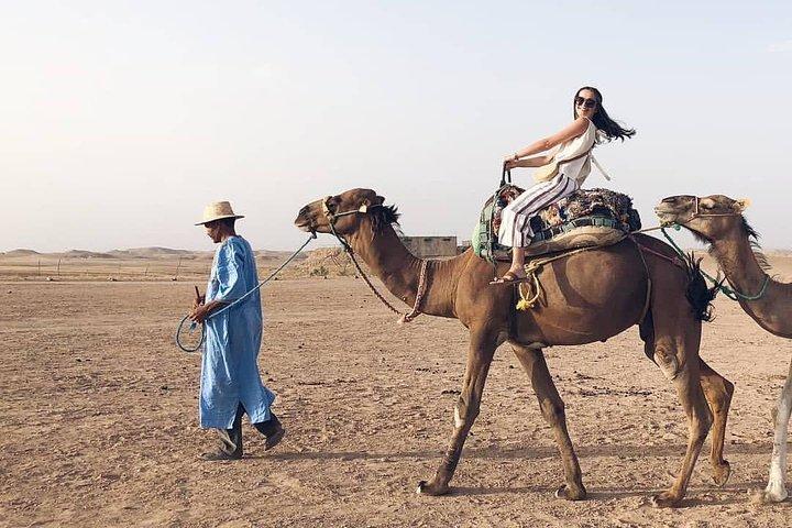 Marrakesh: Agafay Desert Sunset, Camel Ride, and Dinner Show