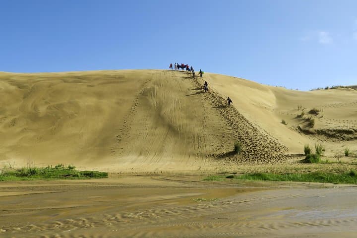 3 Day Bay Of Islands Tour from Auckland including Waitangi and Cape Reinga