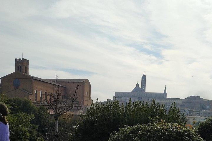Excursion de Livorno à Sienne et San Gimignano en minivan privé