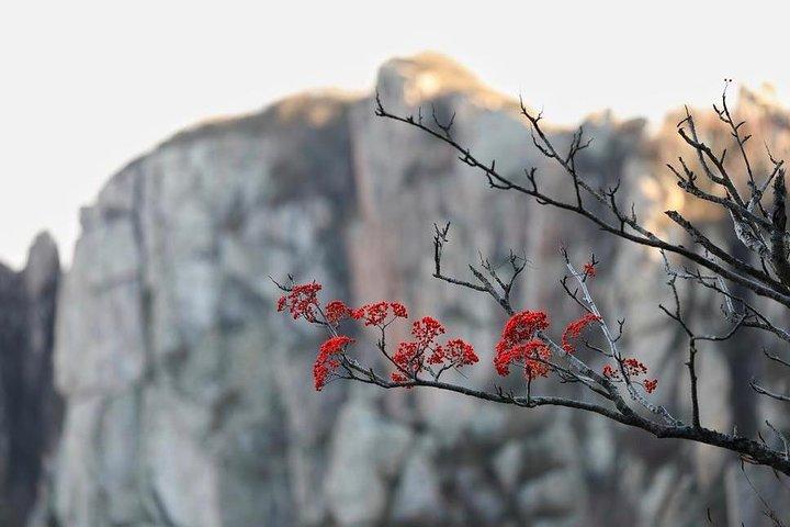 2-Day Private Sightseeing Tour of Qufu City Highlights and Mount Tai