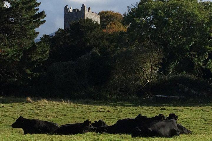 Landausflug von Glengariff zum Killarney National Park