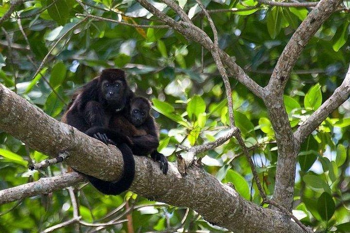 Cahuita National Park