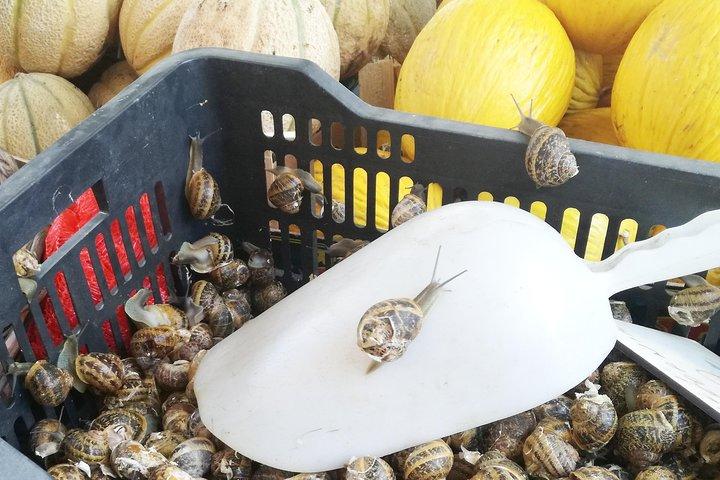 GRAND TASTE PALERMO - Artisan Food & History Walking Tour