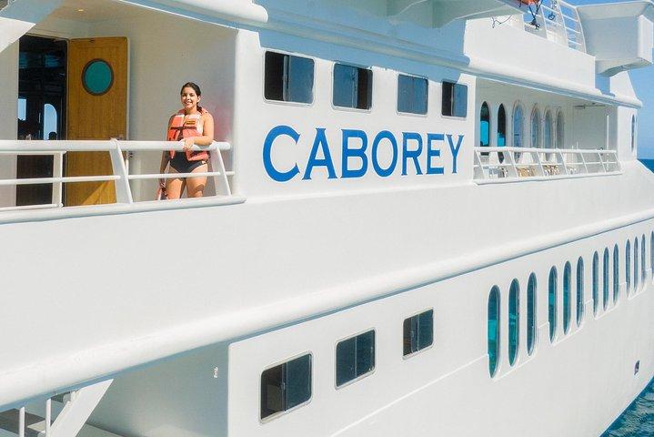 Cabo Whale Watch drie-niveau schip en majestueuze boog