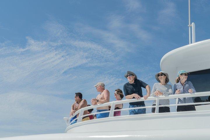Cabo Whale Watch drie-niveau schip en majestueuze boog