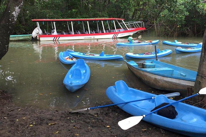 kajak in de mangrove