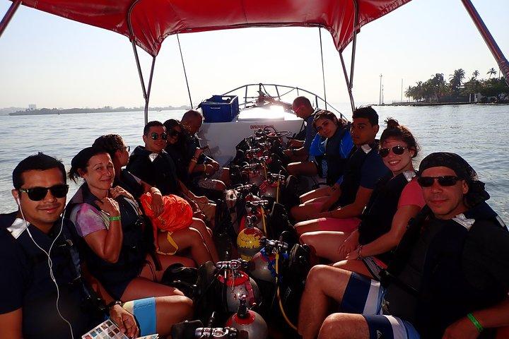 One-Day Diving Mini Course - Discover Scuba Diving