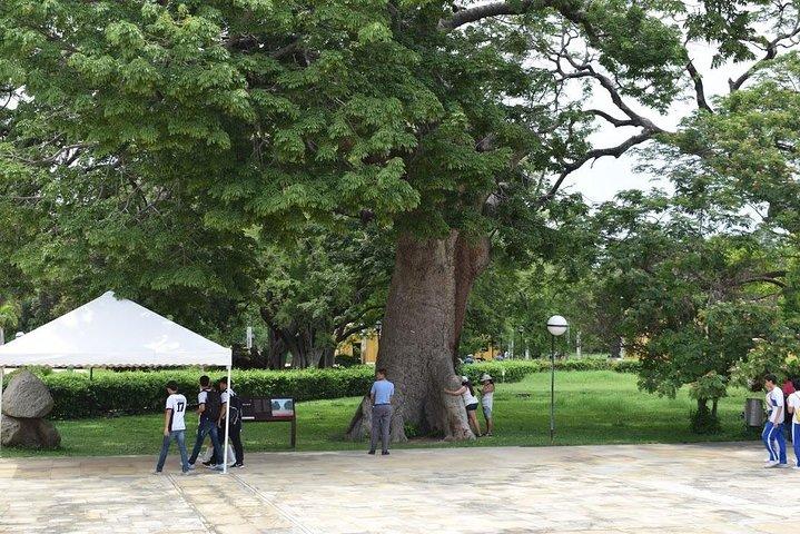カルタヘナ発サンタ マルタとバランキージャの 1 日