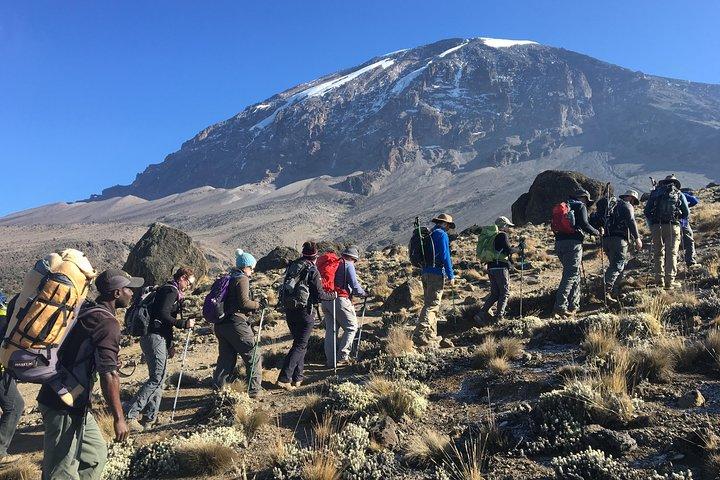 Mt. Kilimanjaro Climb, 7-dages Machame-rute