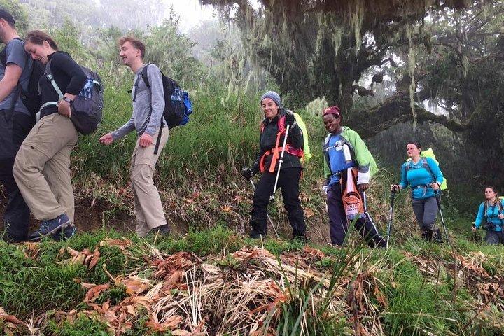 7-dages Kilimanjaro Climb Machame Route – Den bedste vej til Uhuru Peak